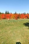IMG_20171010_094349649_HDR